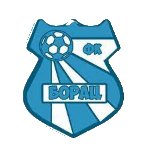 fk-borac-plocica