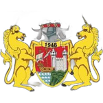 bristol-telephones-fc