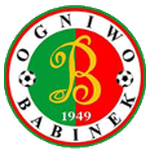 ogniwo-babinek