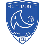 alisontia-steinsel