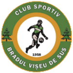 cs-bradul-viseu-de-sus