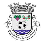 gd-benfica-do-ribatejo