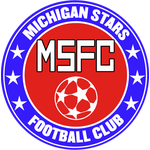 michigan-stars