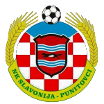 nk-slavonija-punitovci
