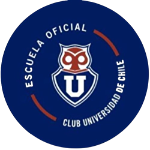 universidad-de-chile-zona-sur