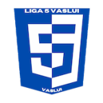 Liga 5 Vaslui