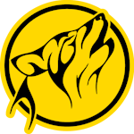 as-montana-izvorul-rece