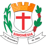 simonesia-fc-u20