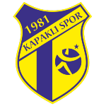 kapaklispor