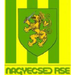 nagyecsed-fc-senior
