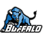 buffalo-bulls
