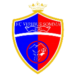 viribus-somma-100