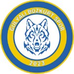 gulyali-bozkurtspor