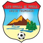 acs-scoala-de-fotbal-valea-frumoasei