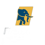 first-bank-football-club