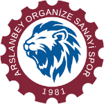 arslanbey-organize-sanayi-sk