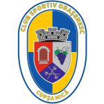 cs-orasenesc-copsa-mica