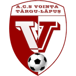 acs-vointa-targu-lapus