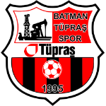batman-tupras