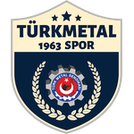t-metal-1963-spor