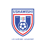 ushawishi-academy