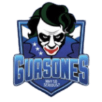guasones-ss