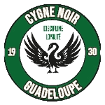 cygne-noir