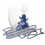 malumfashi-utd-feeder