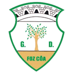 gd-vila-nova-foz-coa