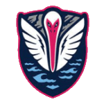 south-georgia-tormenta-fc