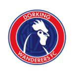 dorking-wanderers-fc-ladies