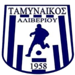 ao-tamynaikos-aliveriou-b