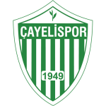 smart-holding-cayelispor