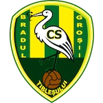 cs-bradul-grosii-tiblesului