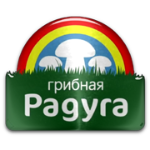 fc-gribnaya-raduga-kursk