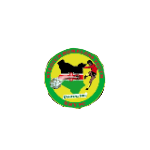 street-homeless-youth-fc