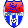fc-slobozia-mare