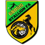 gnosis-stallion-football-academy