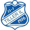 tiller