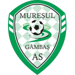 as-muresul-gambas