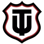 tecnico-universitario