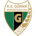 gornik-brzeszcze