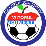 acs-viitorul-voinesti