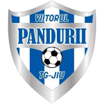 viitorul-pandurii-targu-jiu