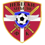 fk-nebeski-andeli-vranje