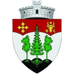 as-viitorul-horodnic-de-sus