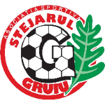 cs-stejarul-gruiu