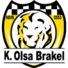 olsa-brakel