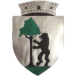 as-fc-timisul-urseni