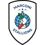marconi-stallions
